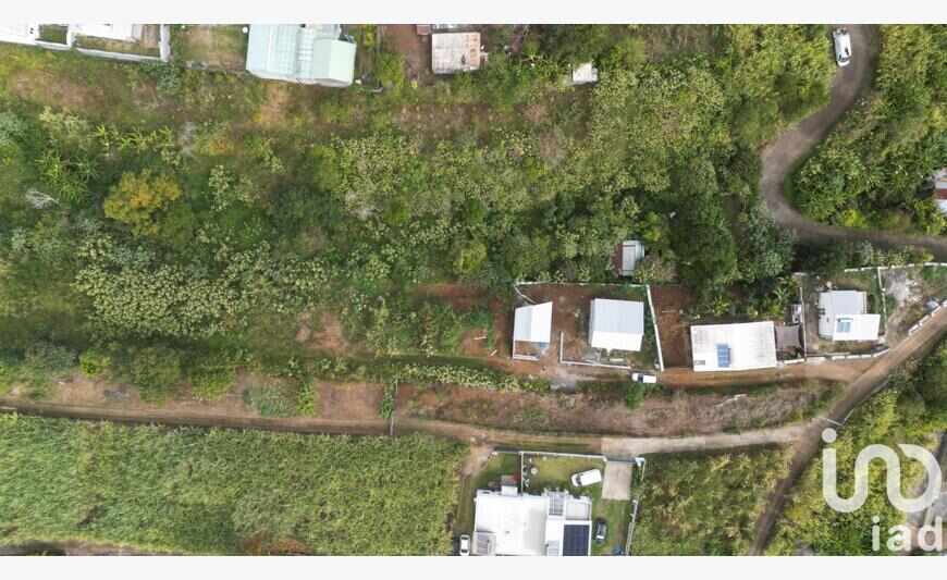 Terrain 2 695 m²