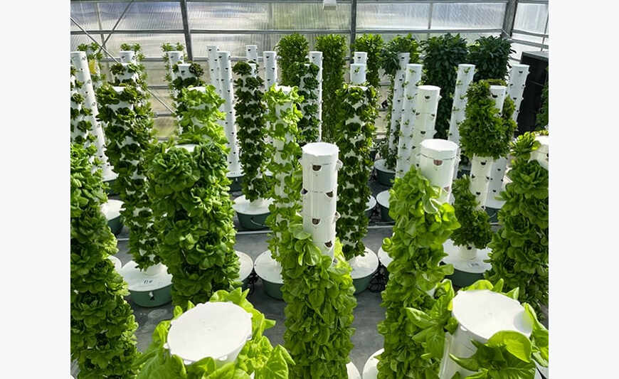 Système complet pour ferme hydroponique