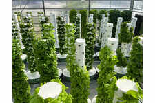 Système complet pour ferme hydroponique