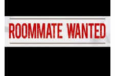 Roommate wanted!