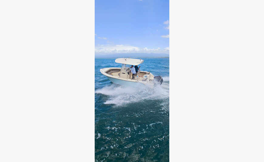 COBIA 217 BR Année 2014 + 250cv V8 MERCURY