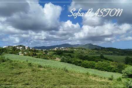 Terrain Sud Martinique Riviere Salee Beau terrain plat 769