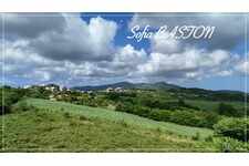 Terrain Sud Martinique Riviere Salee Beau terrain plat 769