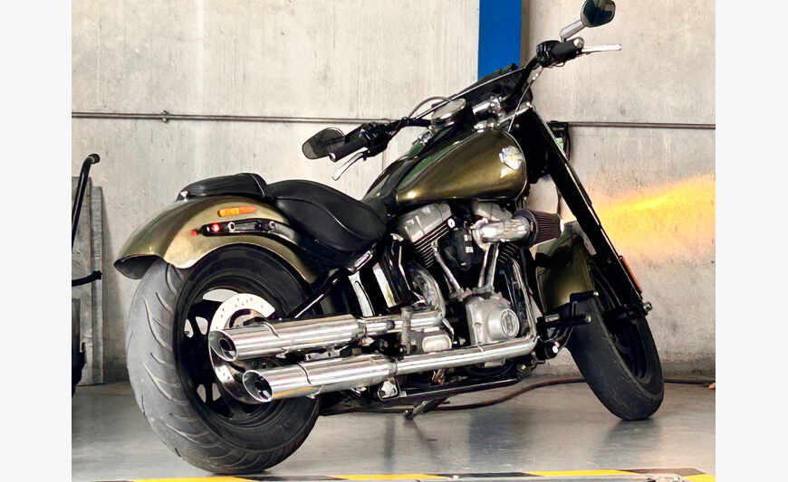 Harley Davidson SLIM stage4