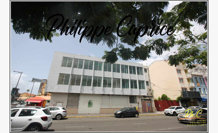 Immeuble Professionnel 308 M² Fort De France