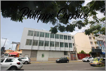 Immeuble Professionnel 308 M² Fort De France