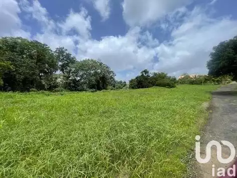 Terrain 1 992 m²
