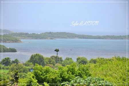 Villa d'exception au François (97240) - Maison contemporaine