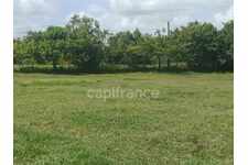 Terrain de 1 000,00 m² Petit Canal (971)