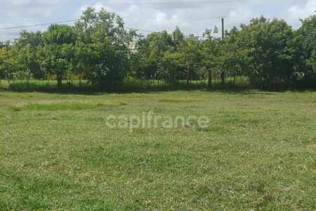 Terrain de 1 000,00 m² Petit Canal (971)