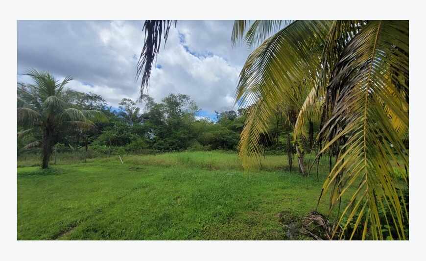 Opportunité Parcelle Saint Laurent Du Maroni (973)