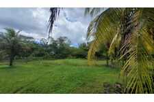 Opportunité Parcelle Saint Laurent Du Maroni (973)