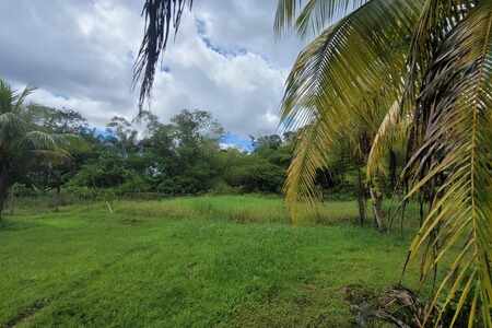 Opportunité Parcelle Saint Laurent Du Maroni (973)