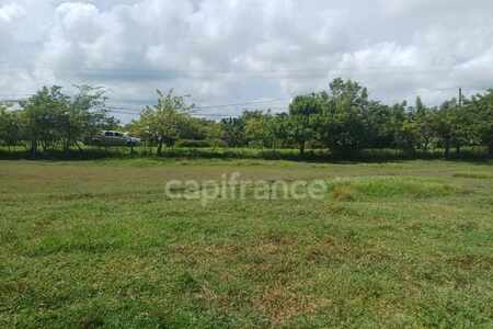 Terrain Petit Canal (971)