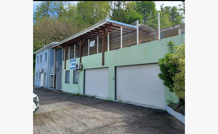 Bâtiment à usage mixte