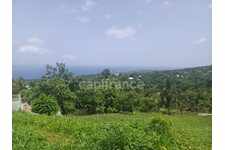 Terrain de 1 000,00 m² proche de Baillif (971)