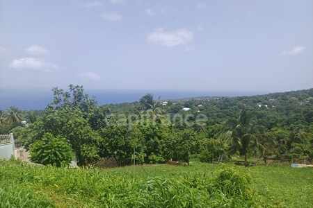 Terrain de 1 000,00 m² proche de Baillif (971)