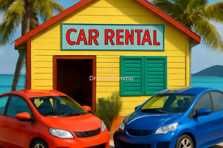 Fonds de commerce – Agence de location de voitures**