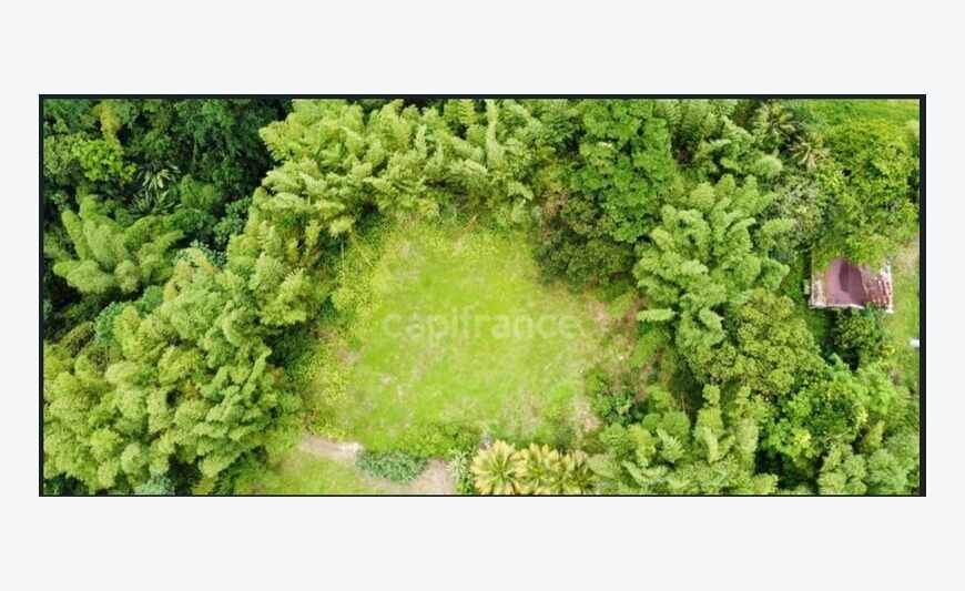 - Grand terrain à bâtir de 6 130 m² à Ajoupa-Bouillon