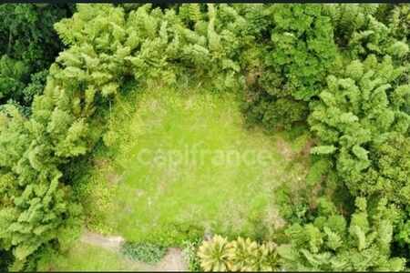 Grand terrain à bâtir de 6 130 m² à Ajoupa-Bouillon