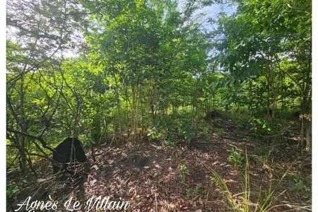 Terrain 2 983 m2 à Bouillante