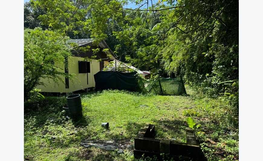 Maison 4 pièces Saint Laurent Du Maroni (973)