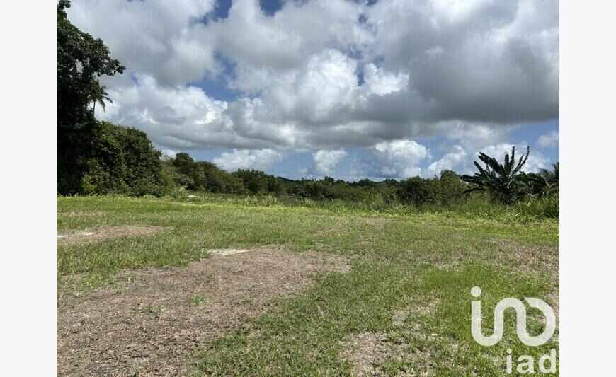 Terrain 1 339 m²