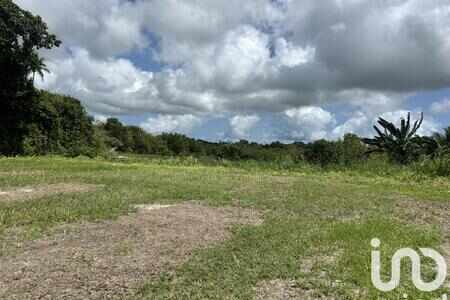 Terrain 1 339 m²