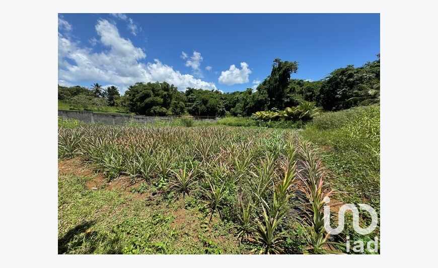 Terrain 2 444 m²