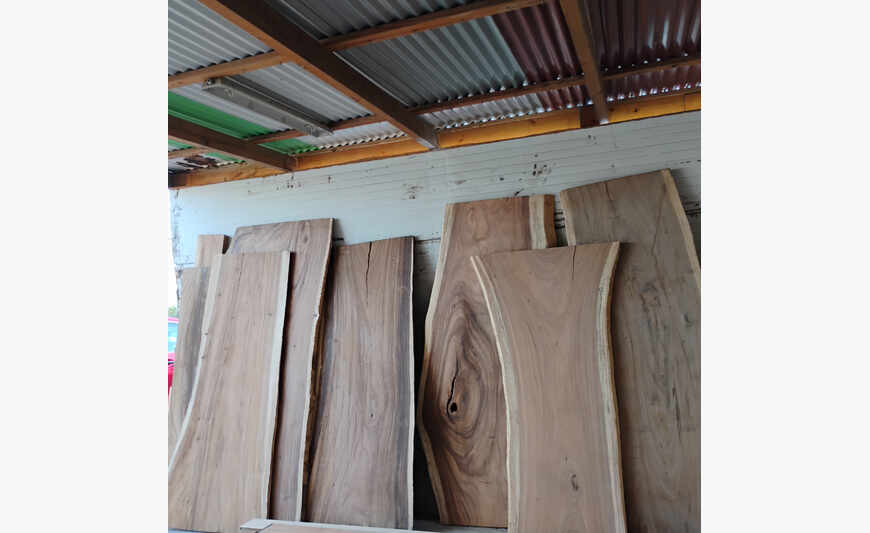 Slabs Live edge in solid wood