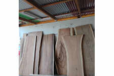 Slabs Live edge in solid wood