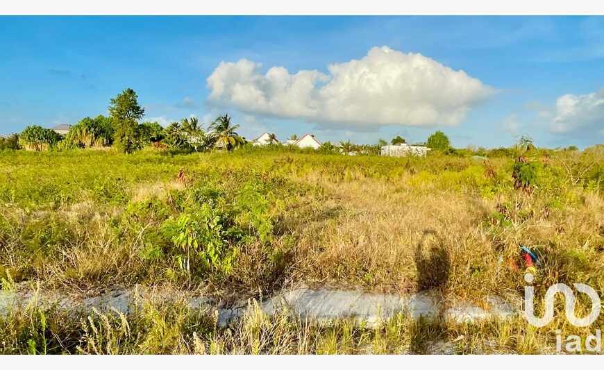 Terrain à bâtir 500 m²