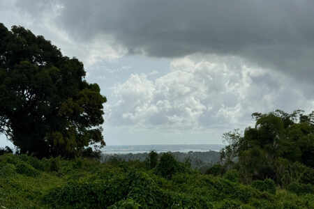 TERRAIN TABANON PETIT-BOURG