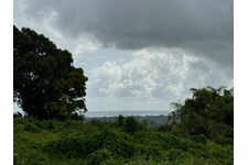 TERRAIN TABANON PETIT-BOURG
