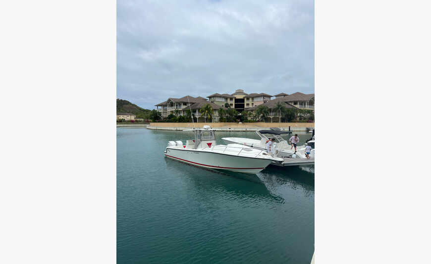 SEAVEE 34 moteurs 2024 YAMAHA F300