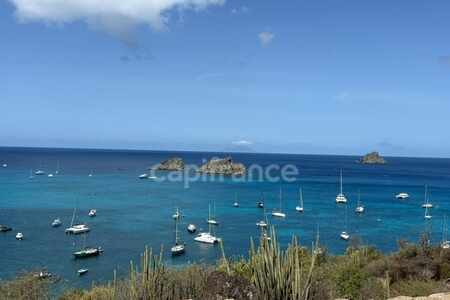 Gustavia Droit Au Bail