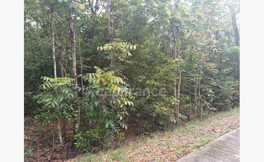 Terrain Deshaies (971)