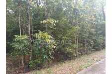 Terrain Deshaies (971)