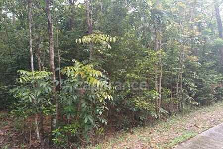 Terrain Deshaies (971)