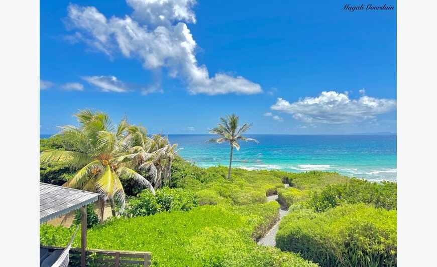 Exclusivite - Villa D'Exception Avec Vue Mer Panoramique &