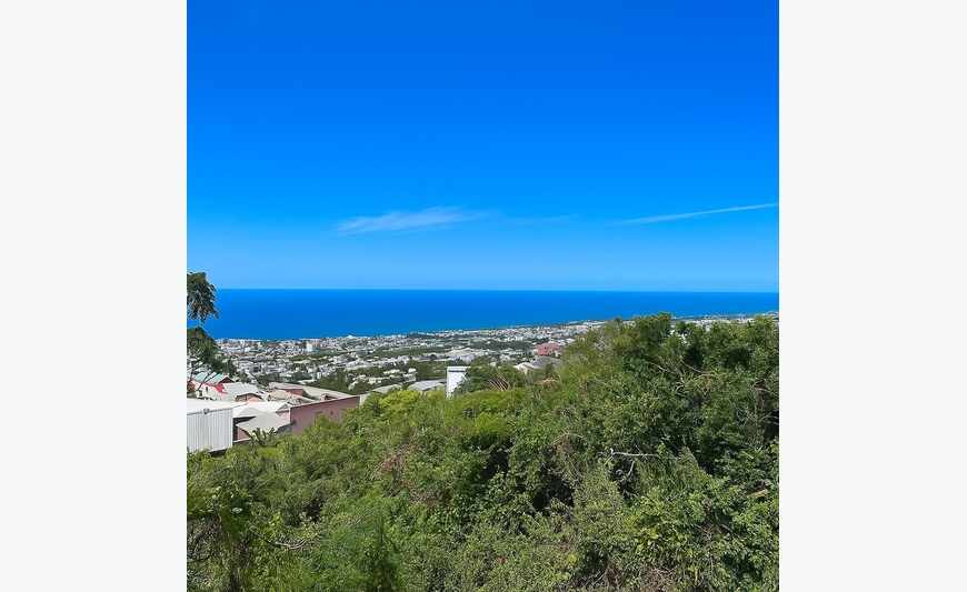 Terrain Saint Denis Camelias (974)