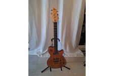 GUITARE GODIN ELECTRO ACCOUSTIC