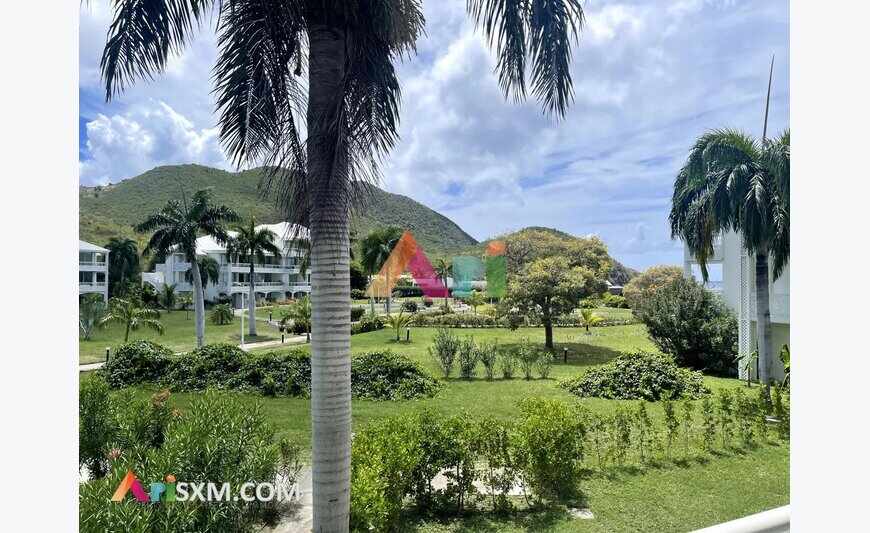 Spacious Studio with Terrace and Garden View