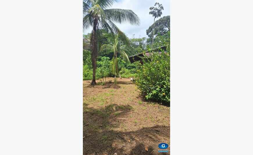 Grand terrain de 2 hectares