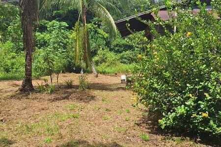 Grand terrain de 2 hectares