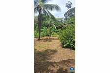 Grand terrain de 2 hectares