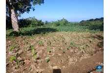 Terrain Constructible Basse-Pointe