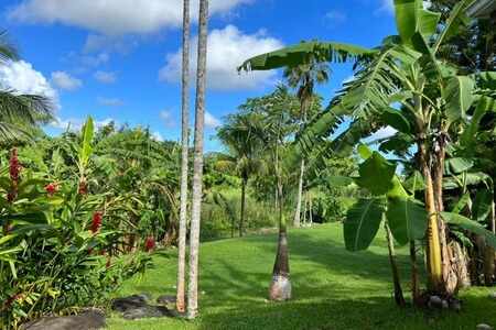Superbe villa architecte 5Ch 4 Sde avec piscine + deux