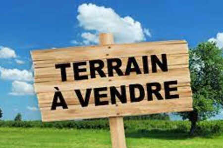 Terrain