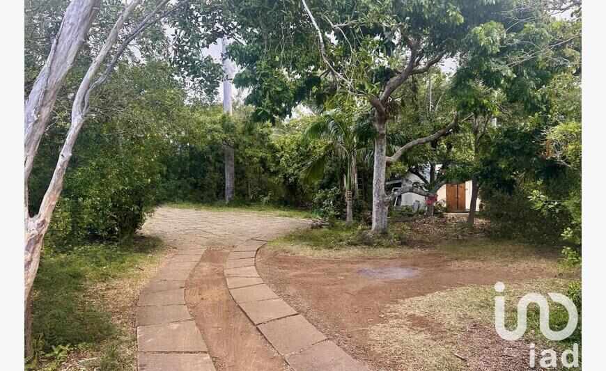 Terrain 742 m²